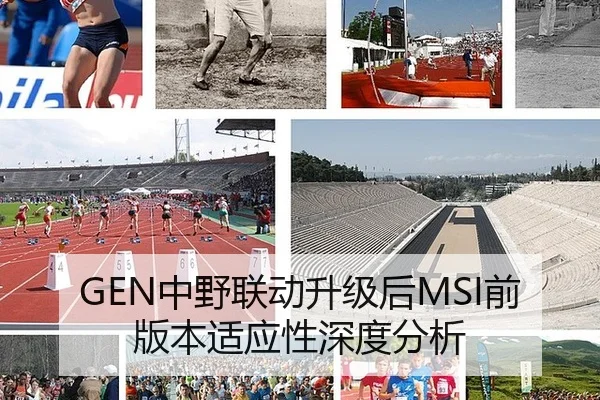 GEN中野联动升级后MSI前版本适应性深度分析